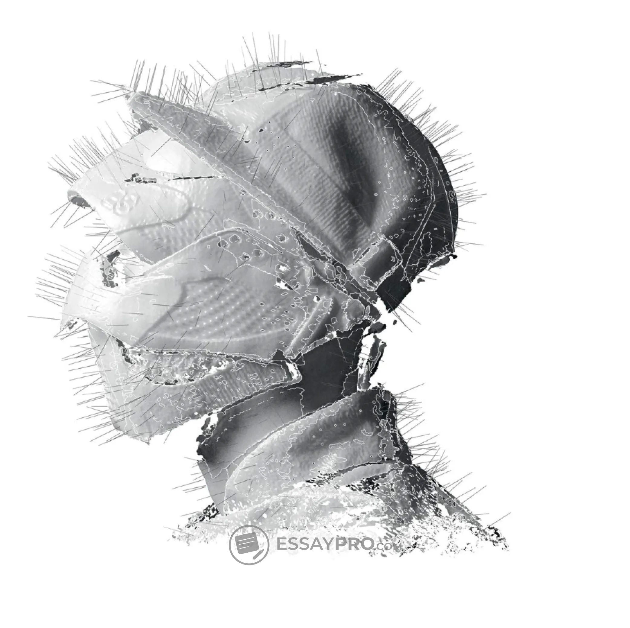 Best Songs for Running